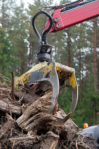 Wood waste processing