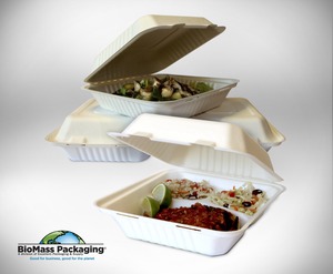 Bagasse Clamshell Food Containers, Disposable Take Out Boxes (8 x